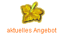 aktuelles Angebot