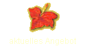 aktuelles Angebot